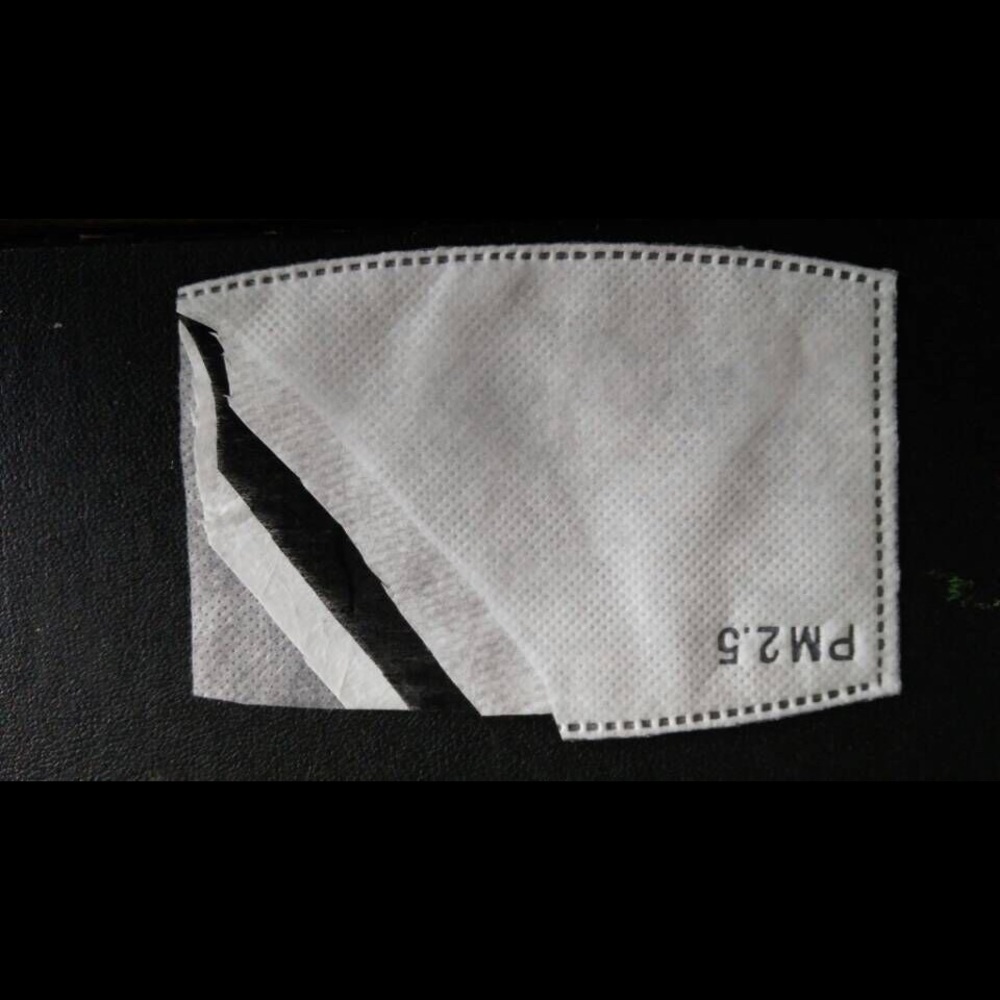 PM 2.5  mask filters (20 filters total)